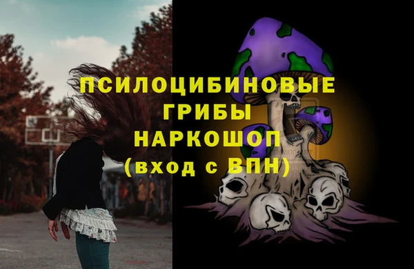2c-b Кодинск