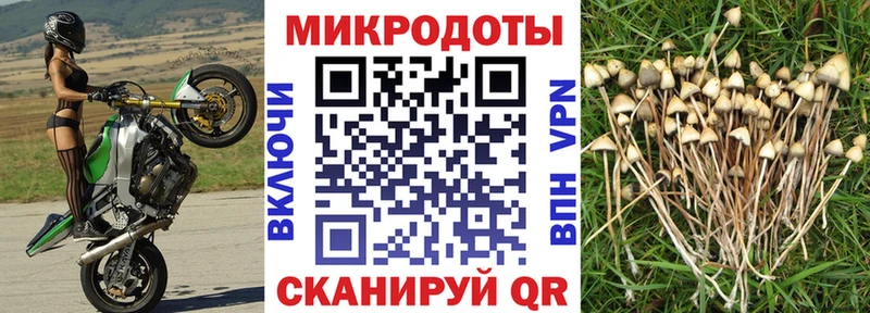 Галлюциногенные грибы Psilocybe  Купить  Отрадный 