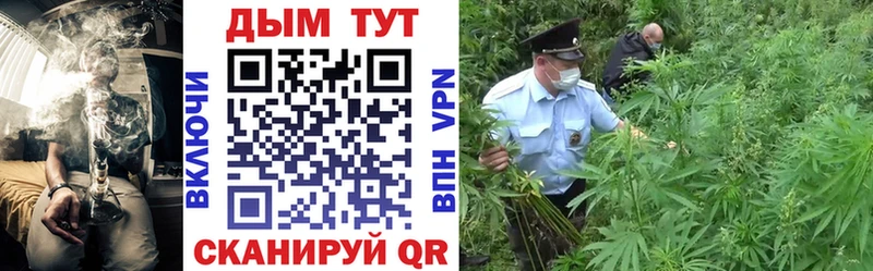 Купить закладки  Отрадный  Бошки Шишки White Widow 